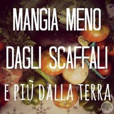 d2d45c0b1cd5e9d8d6a93ff55b4bfd4655d746d0_immagine_3.jpg