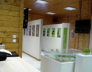 efba6e5325607c7dd9ccacfece827a9f68dc1392_enviroνmental_museum_of_foloi_ancient_olympia.jpg