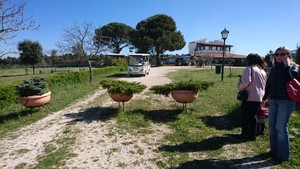 988fd516f4d6b6e14135b060b76009ca4b6a258c_selva_reale_2.jpg