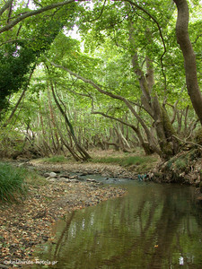 f4ce6a2d9f5fb043abcec40911bd147330aa981a_vouraikos_gorge_kalavrita_3.jpg